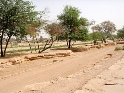 Wadi Hanifah in Sultanah District