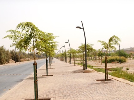 Wadi Hanifah in Sultanah District