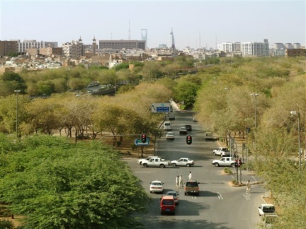 Afforestation of King Fahd Road