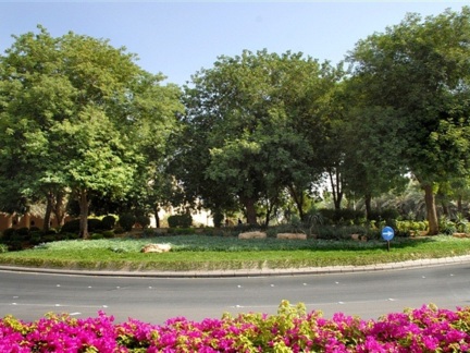 ‎A square at Amr bin Umayyah Al-Dhamri Road ‎
