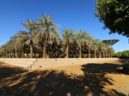 Palm Oasis