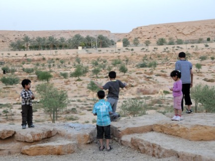 Al-Elb Dam Park