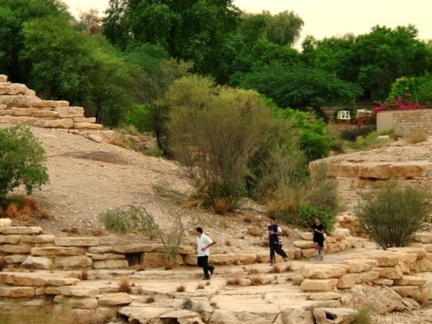 ‎Pedestrian walkways with desert landscaping ‎