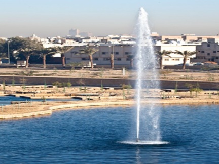 Bioremediation facility