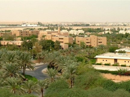 ‎Street afforestation at the DQ‎