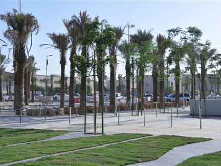 ‎Green spaces and public arenas at the main intersections‎