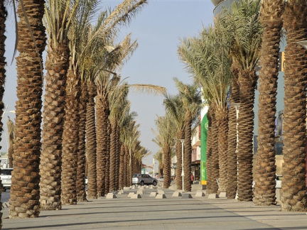 ‎Integrated open environment for pedestrians ‎
